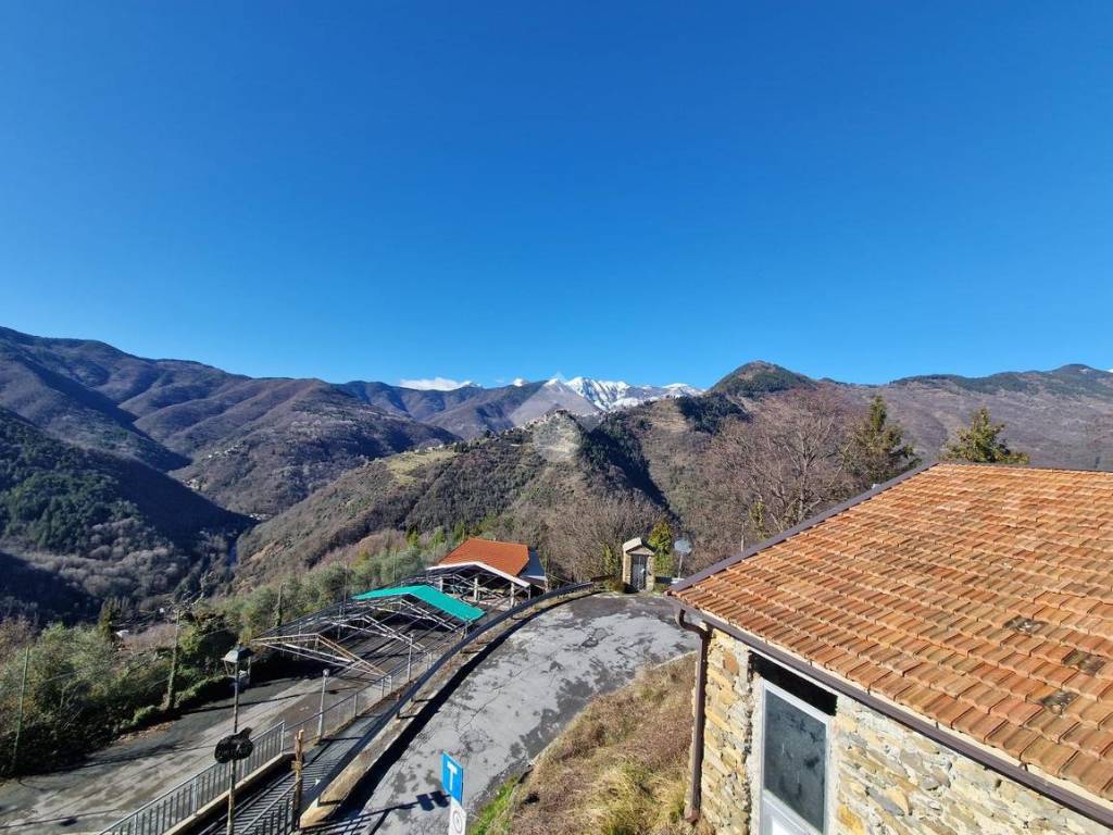 Vista
