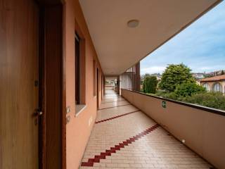 Terrazzo