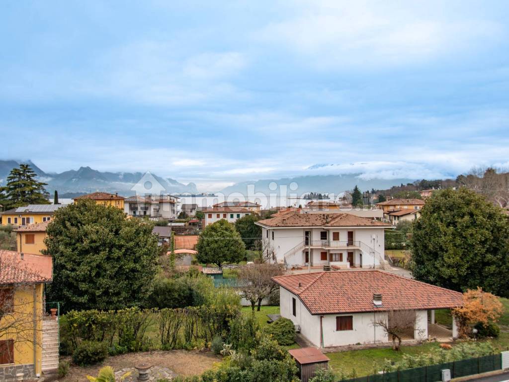 Vista