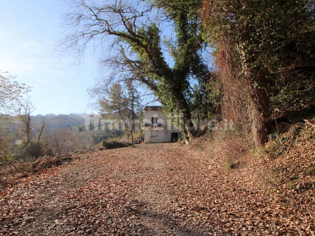 Terreno