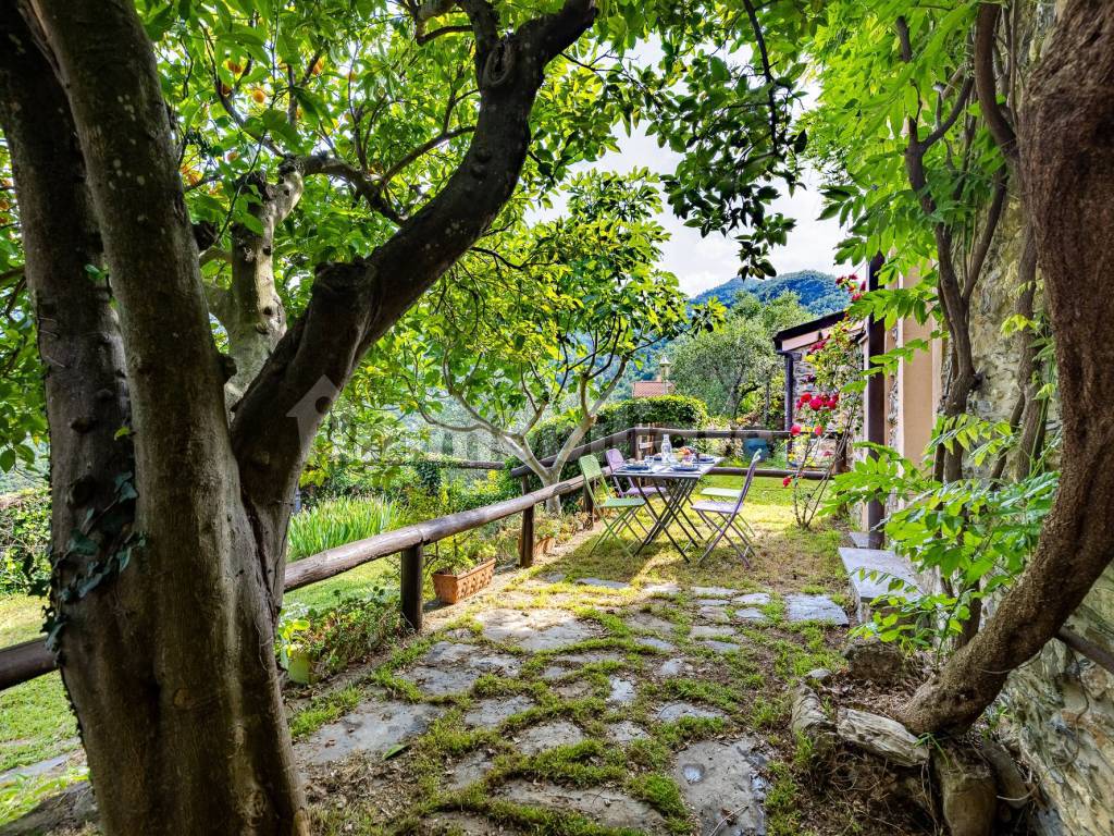 Giardino