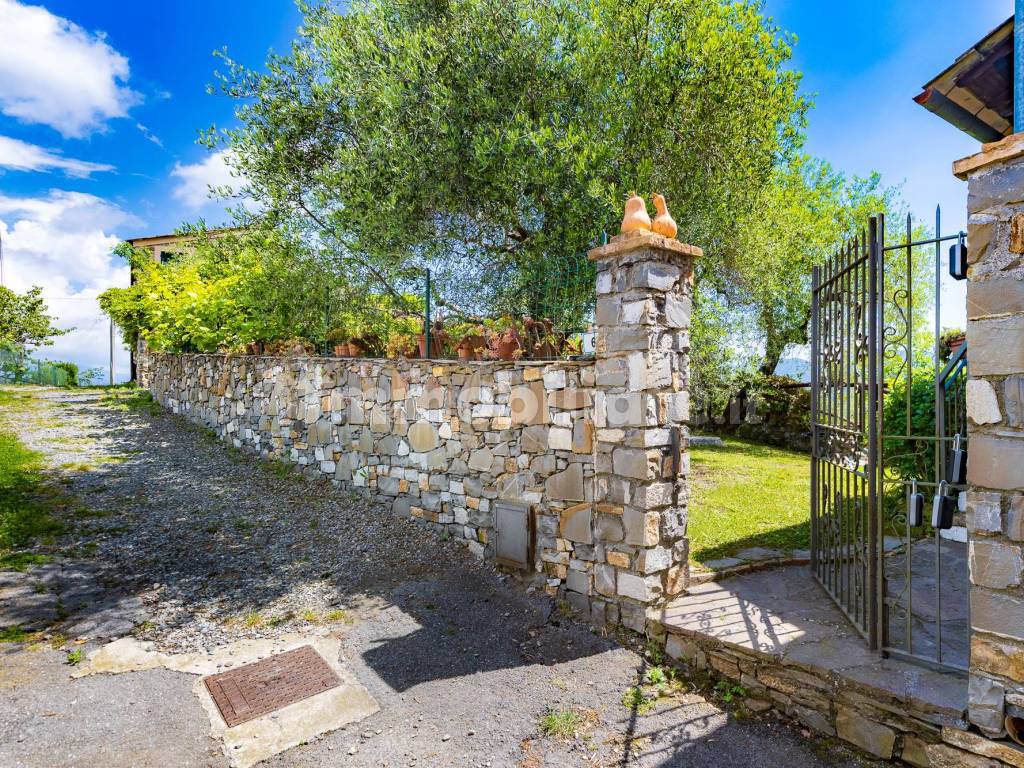 Giardino