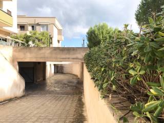 Ingresso