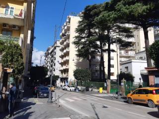 Zona
