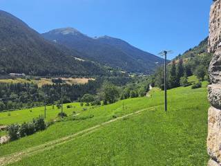 Vista