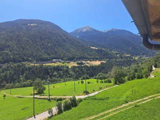 Vista