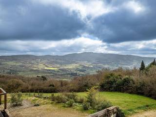 Vista