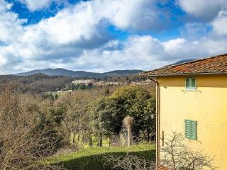 Vista