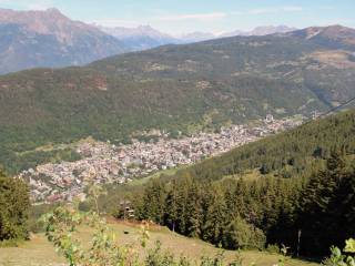 Vista