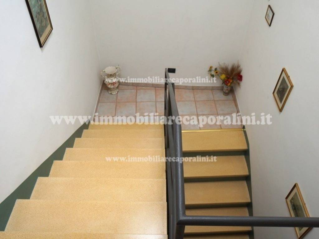 Scala