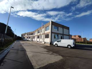 Zona