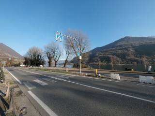 Zona