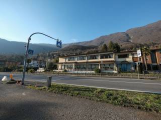 Zona