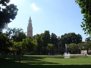 Zona