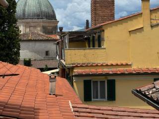 Vista