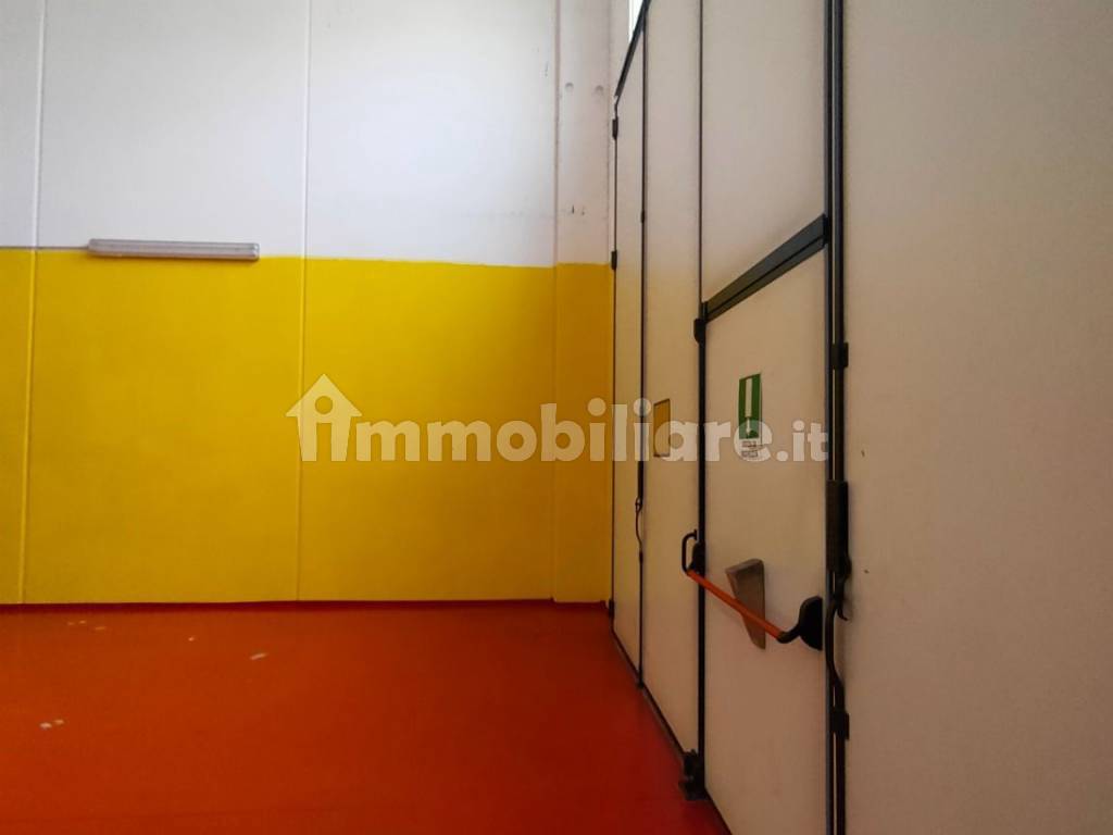 Ingresso