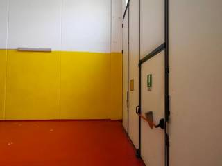 Ingresso