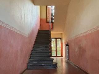 Ingresso