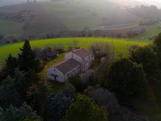 Vista
