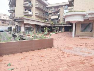 Zona