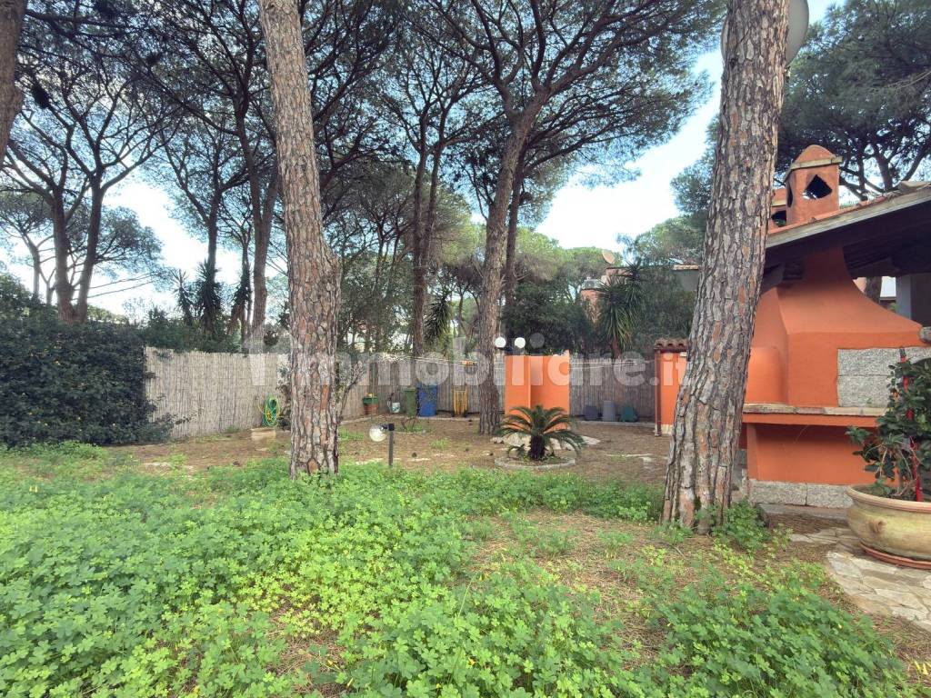 Giardino