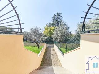 Ingresso