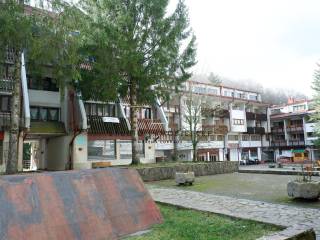 Zona