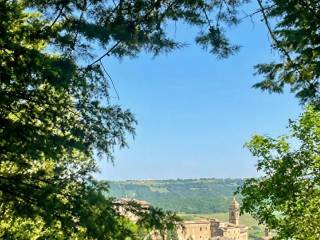 Vista