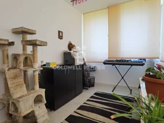 Studio