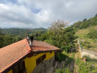 Vista