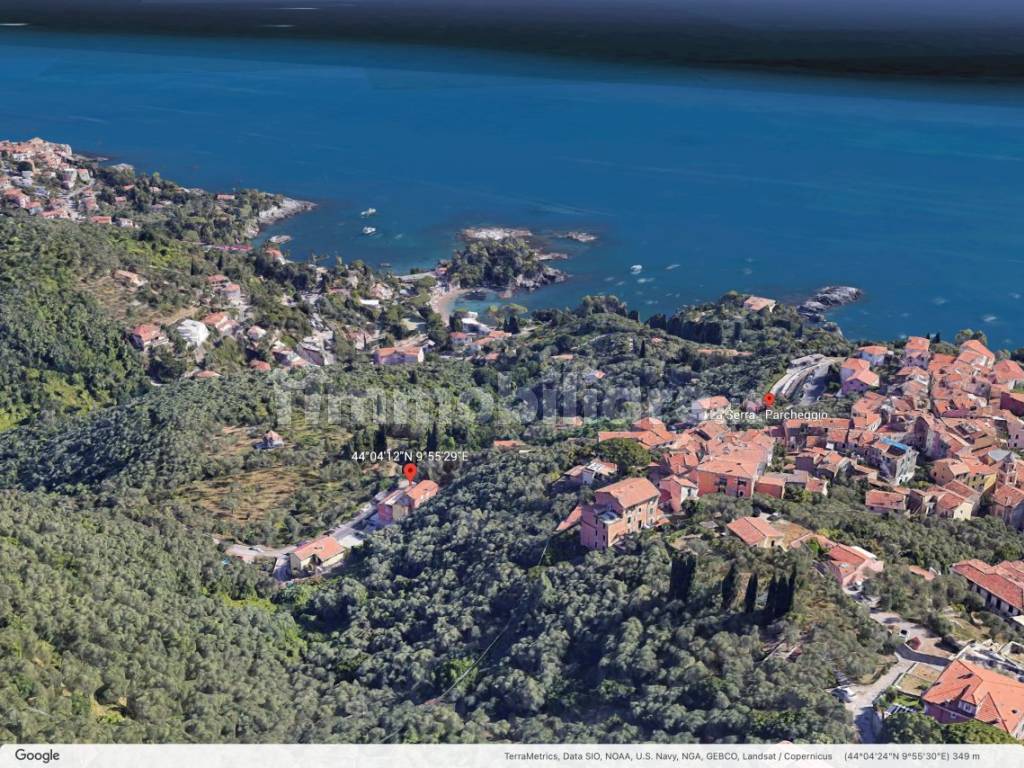 Vista