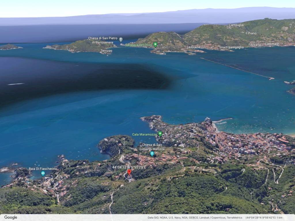 Vista