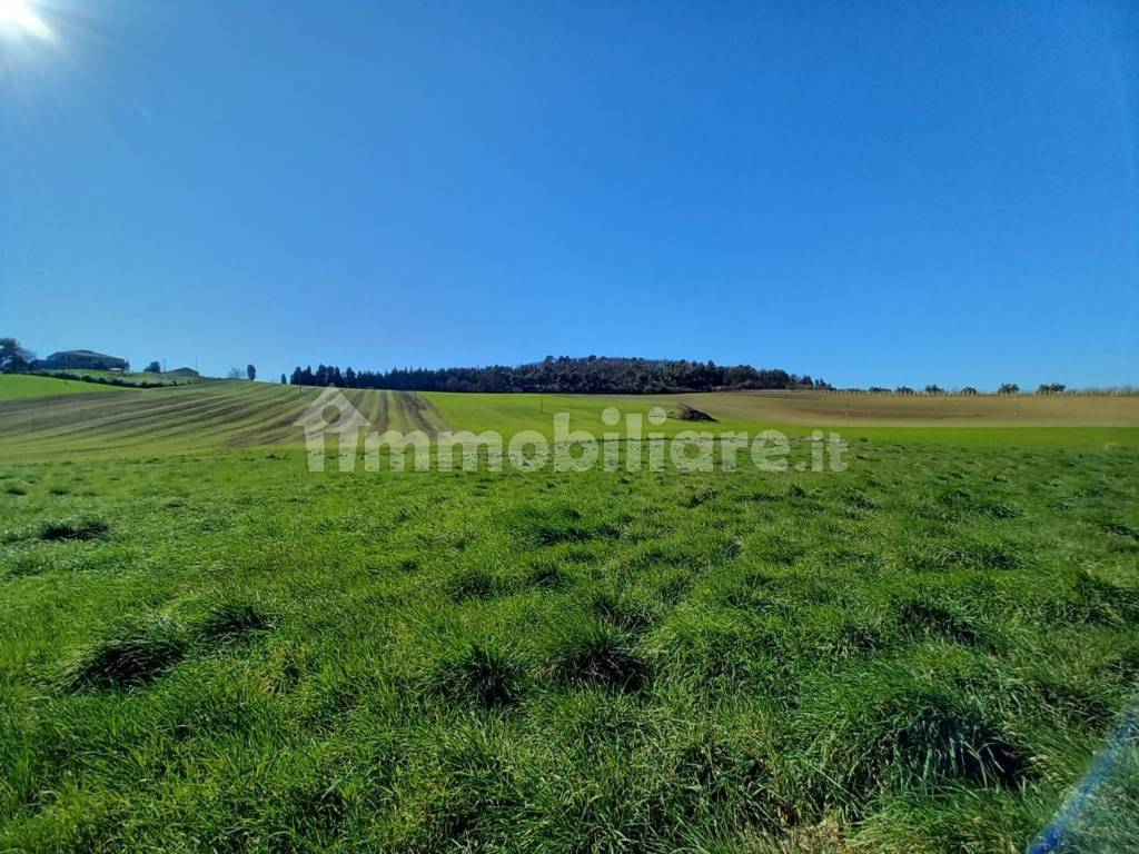 Terreno