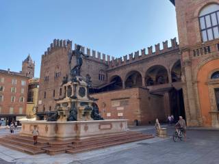 Zona