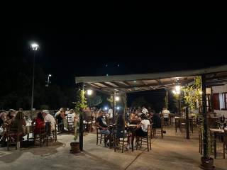 Zona
