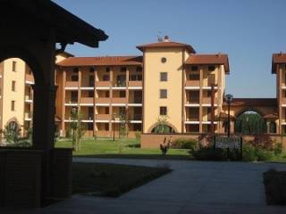 Zona