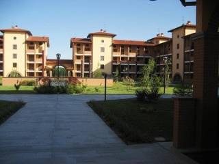 Zona