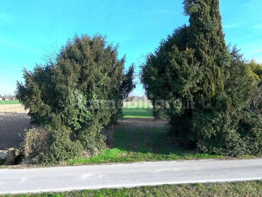 Ingresso