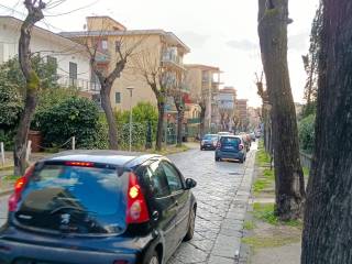 Zona