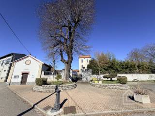 Zona