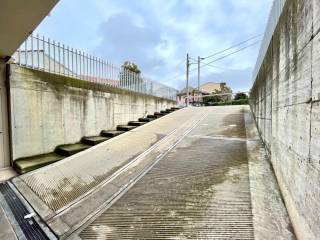 Ingresso