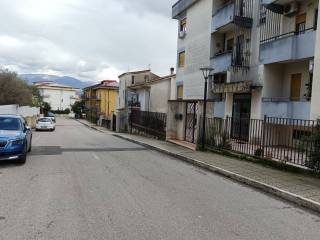 Zona