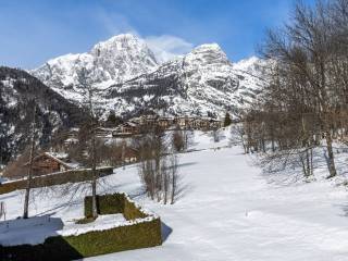 Vista