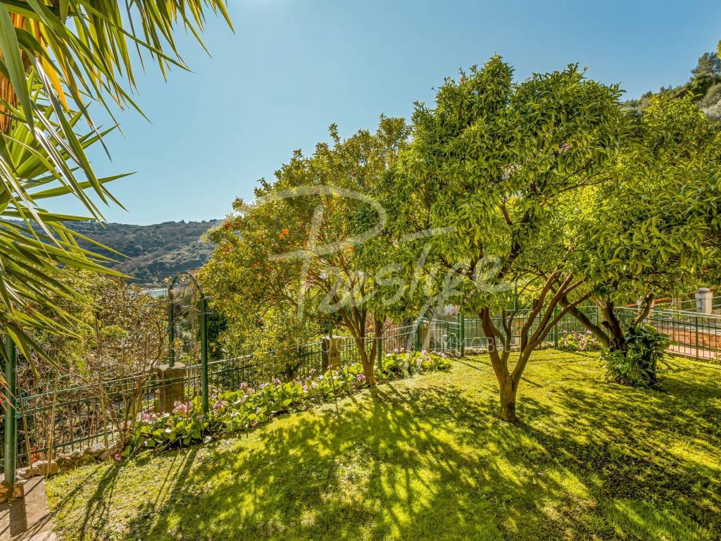 Giardino
