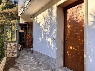 Ingresso