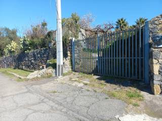 Ingresso