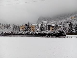 Zona