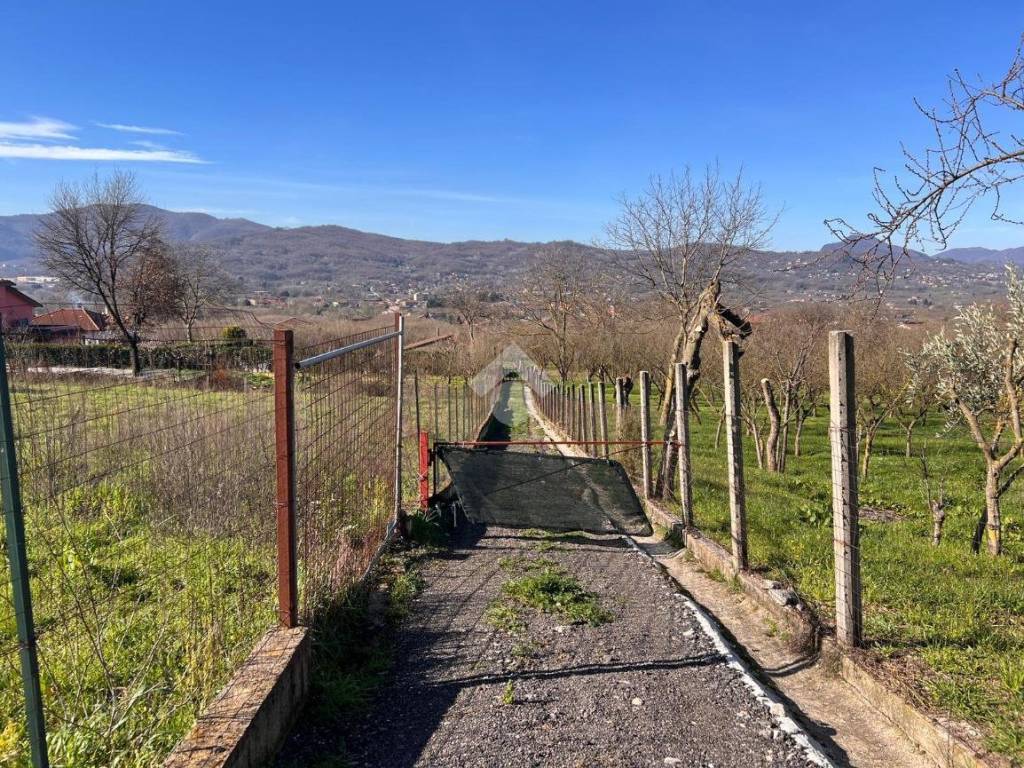 Terreno