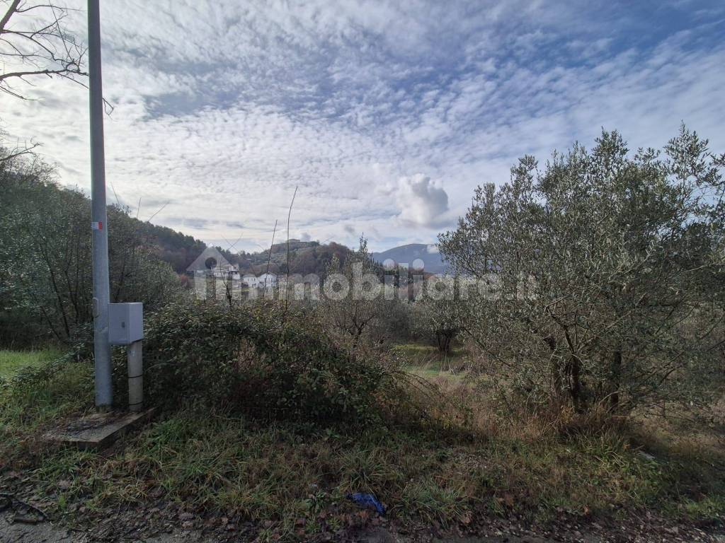 Terreno