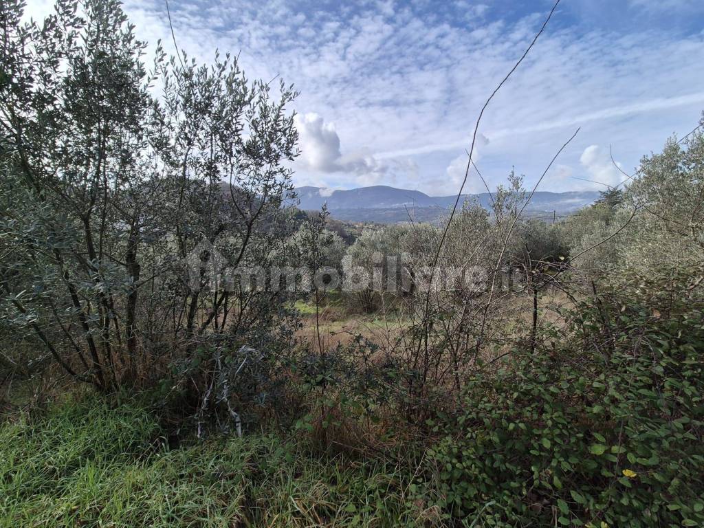 Terreno